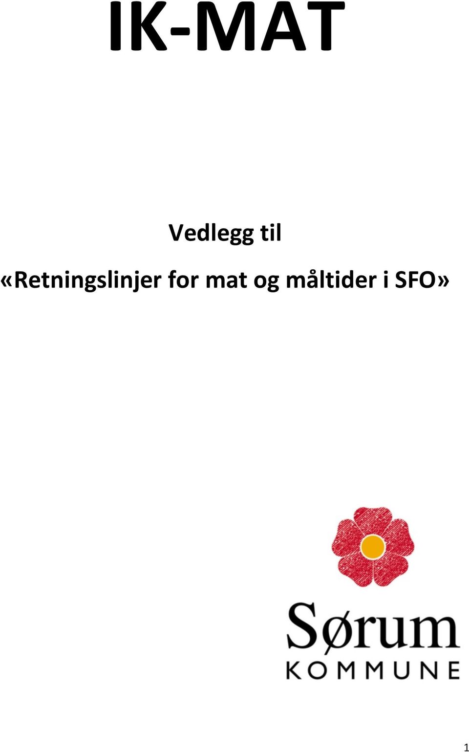 «Retningslinjer