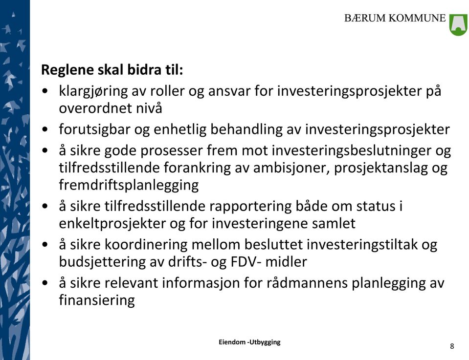 fremdriftsplanlegging å sikre tilfredsstillende rapportering både om status i enkeltprosjekter og for investeringene samlet å sikre koordinering