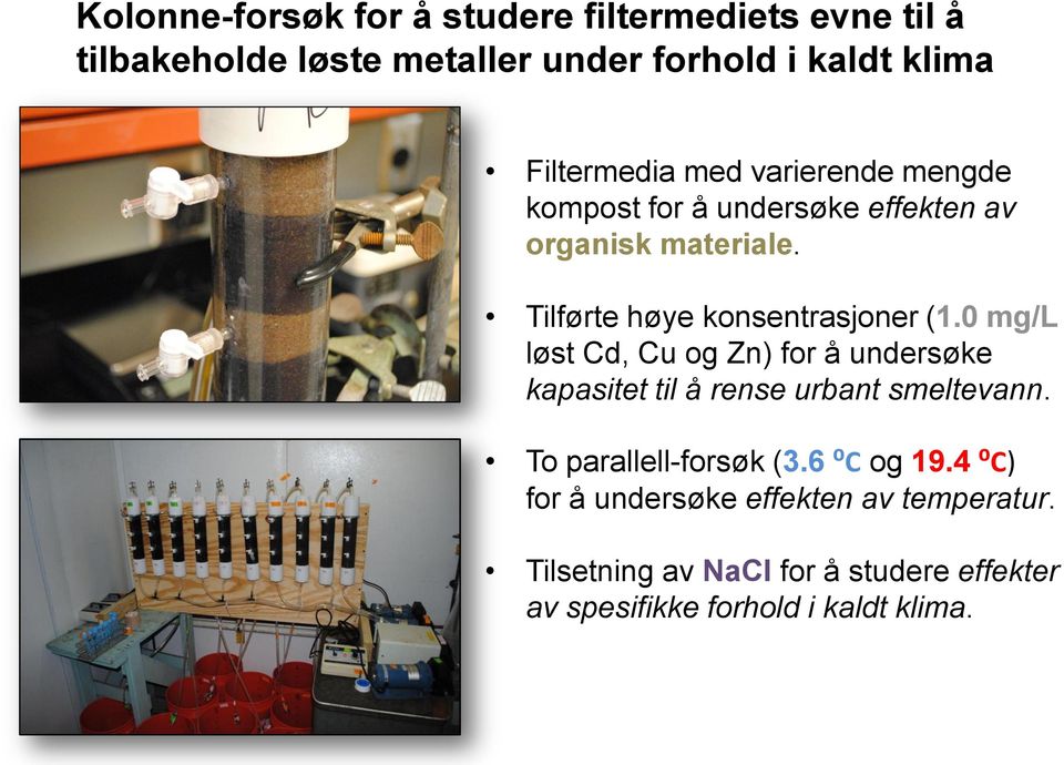 Tilførte høye konsentrasjoner (1.0 mg/l løst Cd, Cu og Zn) for å undersøke kapasitet til å rense urbant smeltevann.