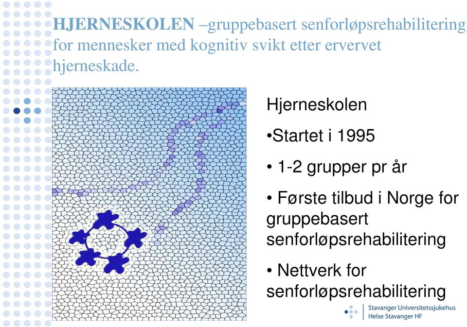 Hjerneskolen Startet i 1995 1-2 grupper pr år Første tilbud i