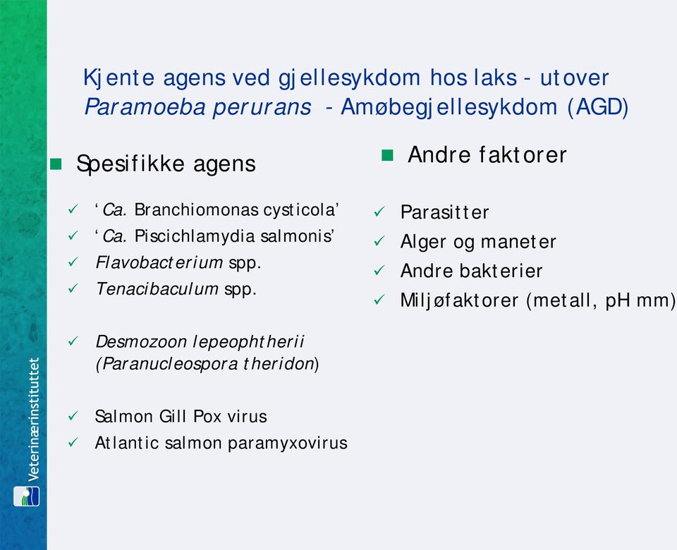 Piscichlamydia salmonis Flavobacterium spp. Tenacibaculum spp.