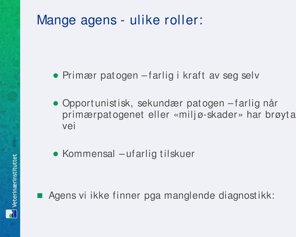 primærpatogenet eller «miljø-skader» har brøyta vei