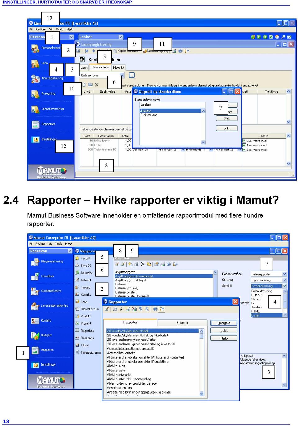 4 Rapporter Hvilke rapporter er viktig i Mamut?