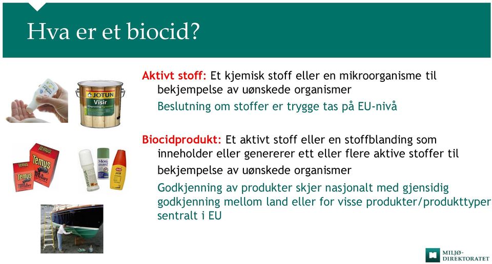 stoffer er trygge tas på EU-nivå Biocidprodukt: Et aktivt stoff eller en stoffblanding som inneholder eller