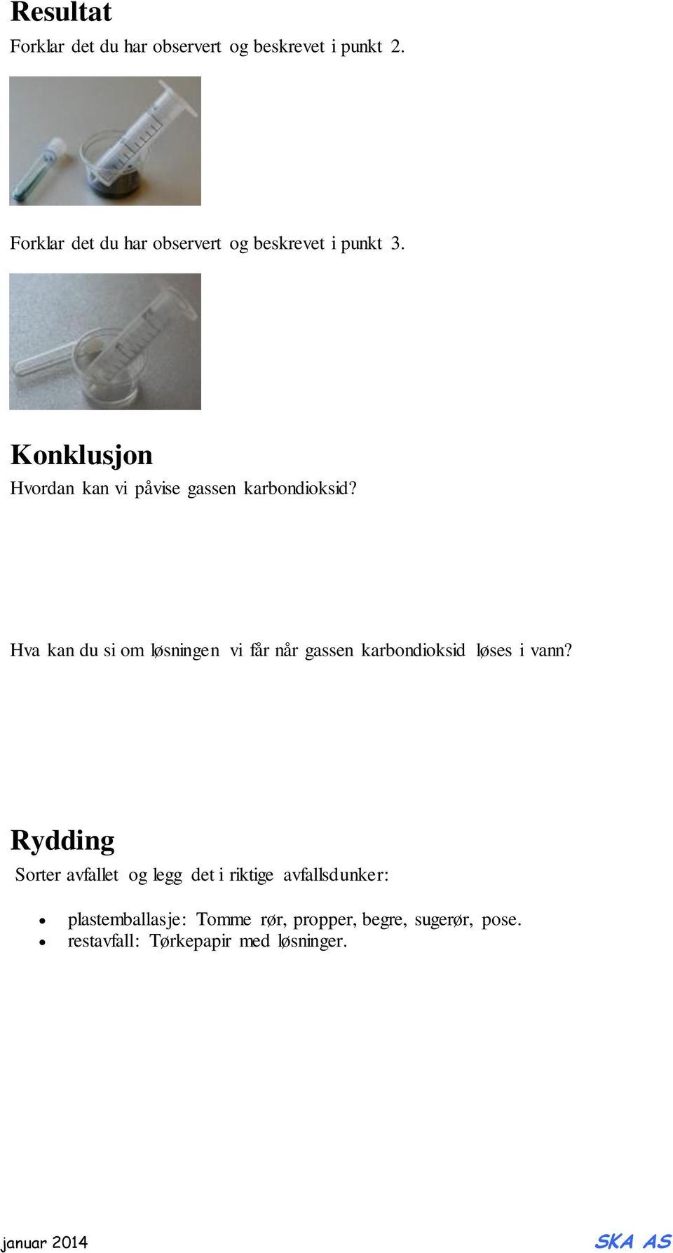 Konklusjon Hvordan kan vi påvise gassen karbondioksid?