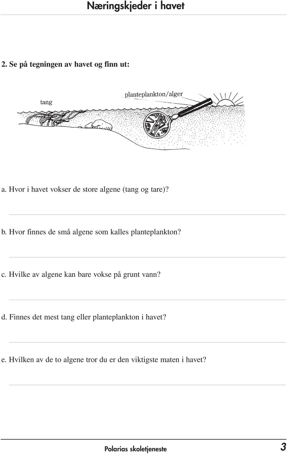 Hvor finnes de små algene som kalles planteplankton? c.