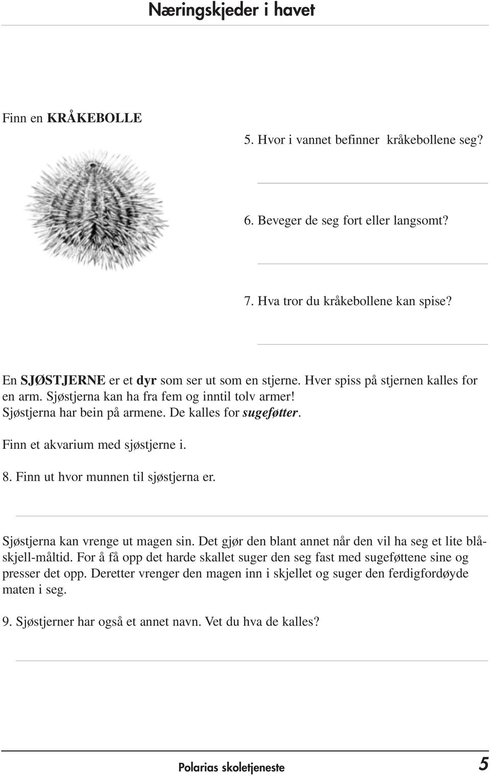 Finn ut hvor munnen til sjøstjerna er. Sjøstjerna kan vrenge ut magen sin. Det gjør den blant annet når den vil ha seg et lite blåskjell-måltid.