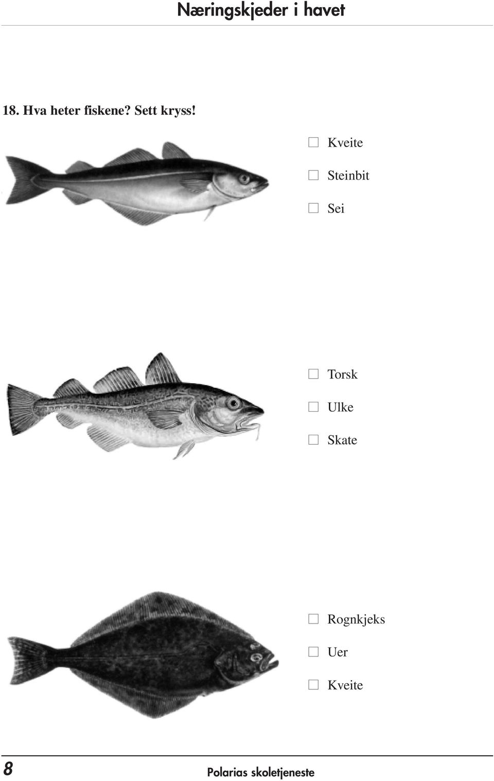 Kveite Steinbit Sei Torsk