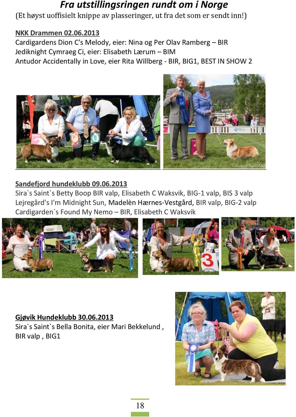 Willberg - BIR, BIG1, BEST IN SHOW 2 Sandefjord hundeklubb 09.06.