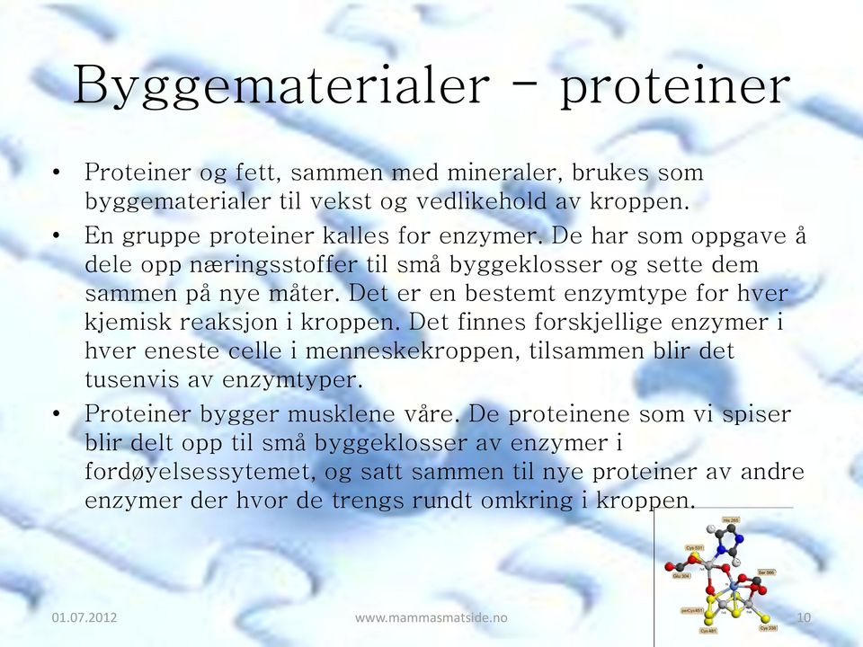 Det finnes forskjellige enzymer i hver eneste celle i menneskekroppen, tilsammen blir det tusenvis av enzymtyper. Proteiner bygger musklene våre.