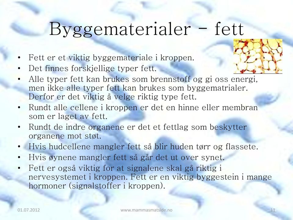 Rundt alle cellene i kroppen er det en hinne eller membran som er laget av fett. Rundt de indre organene er det et fettlag som beskytter organene mot støt.