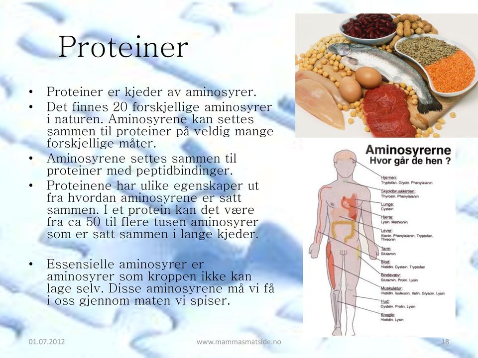 Proteinene har ulike egenskaper ut fra hvordan aminosyrene er satt sammen.