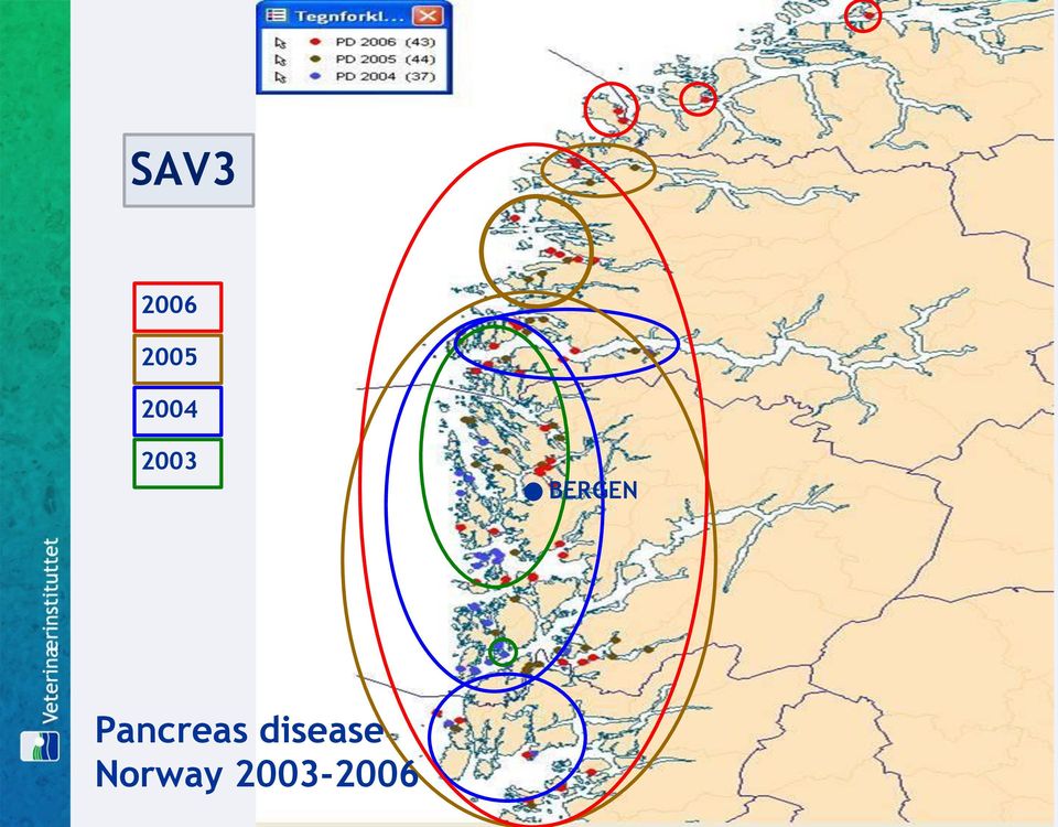 Pancreas disease