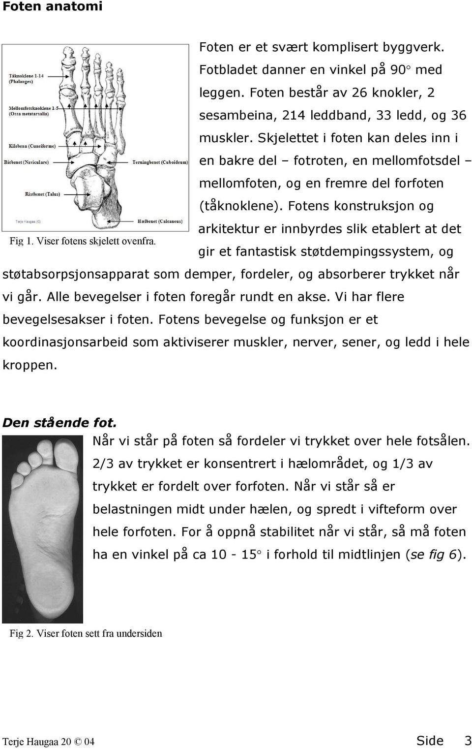 arkitektur er innbyrdes slik etablert at det gir et fantastisk støtdempingssystem, og støtabsorpsjonsapparat som demper, fordeler, og absorberer trykket når vi går.