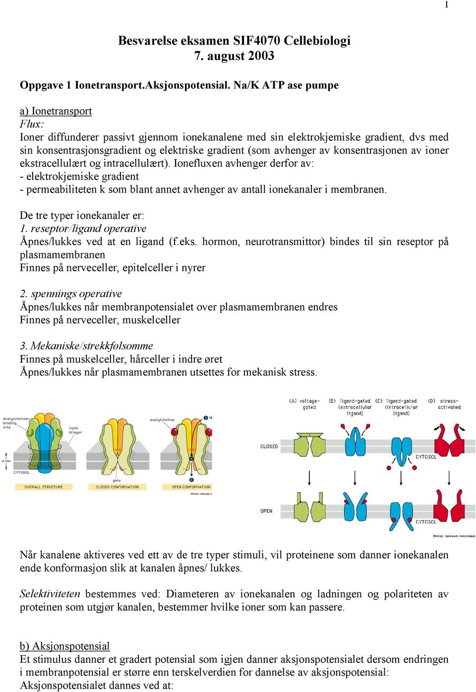 konsentrasjonen av ioner ekstracellulært og intracellulært). Ionefluxen avhenger derfor av: - elektrokjemiske gradient - permeabiliteten k som blant annet avhenger av antall ionekanaler i membranen.
