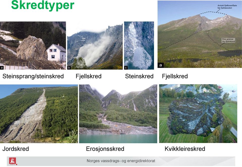 Fjellskred Steinskred