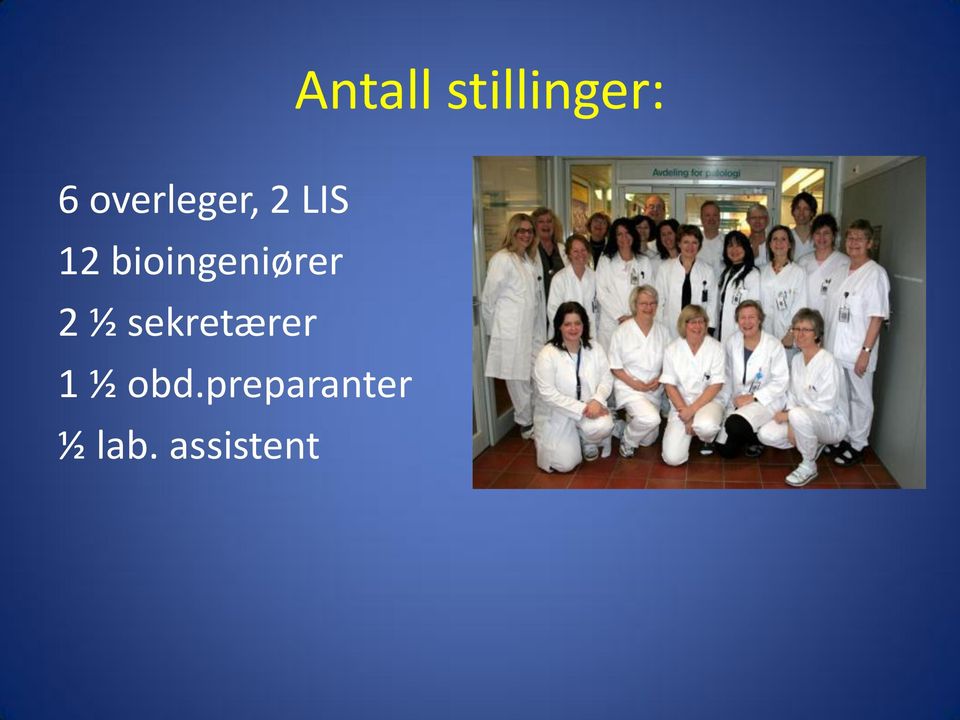 bioingeniører 2 ½