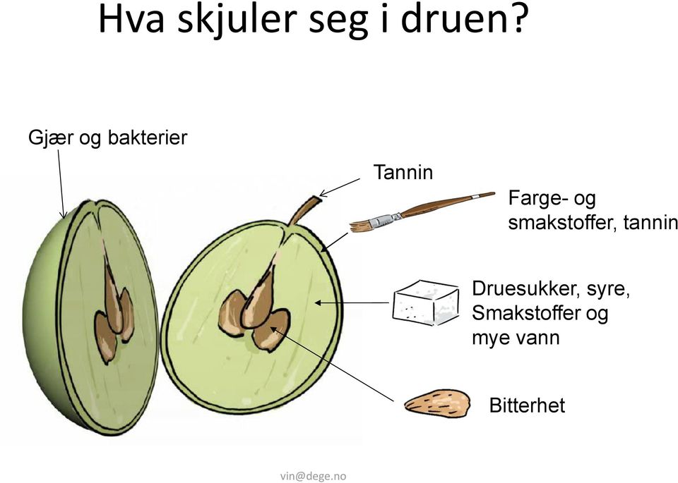 og smakstoffer, tannin