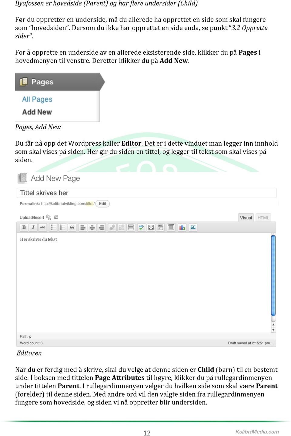Deretter klikker du på Add New. Pages, Add New Du får nå opp det Wordpress kaller Editor. Det er i dette vinduet man legger inn innhold som skal vises på siden.