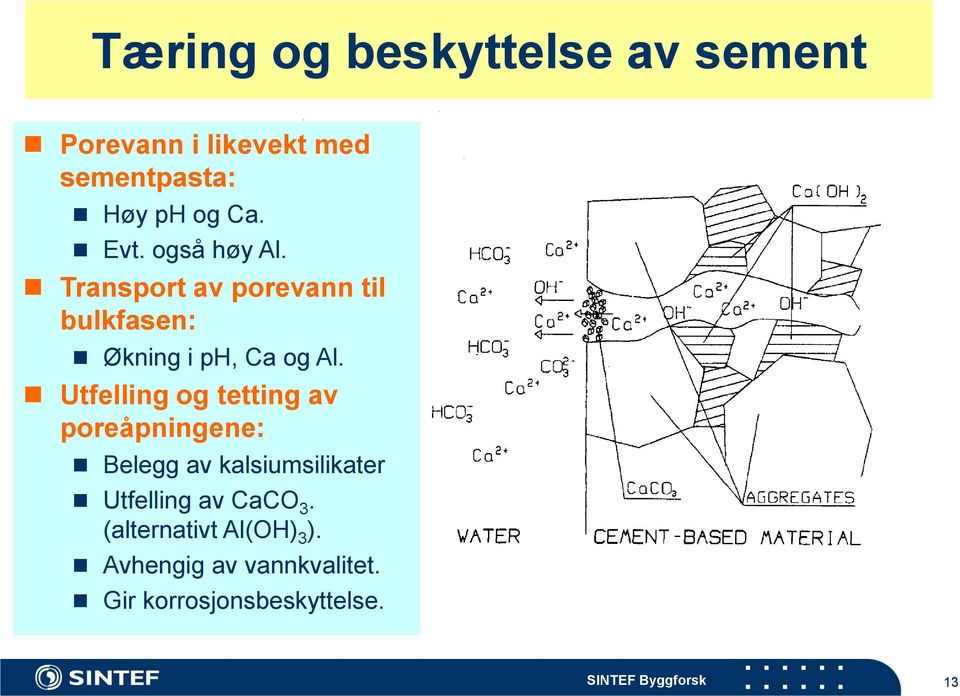 Utfelling og tetting av poreåpningene: Belegg av kalsiumsilikater Utfelling av CaCO 3.