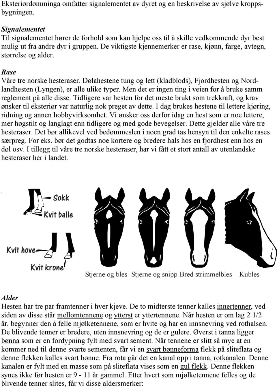 De viktigste kjennemerker er rase, kjønn, farge, avtegn, størrelse og alder. Rase Våre tre norske hesteraser.
