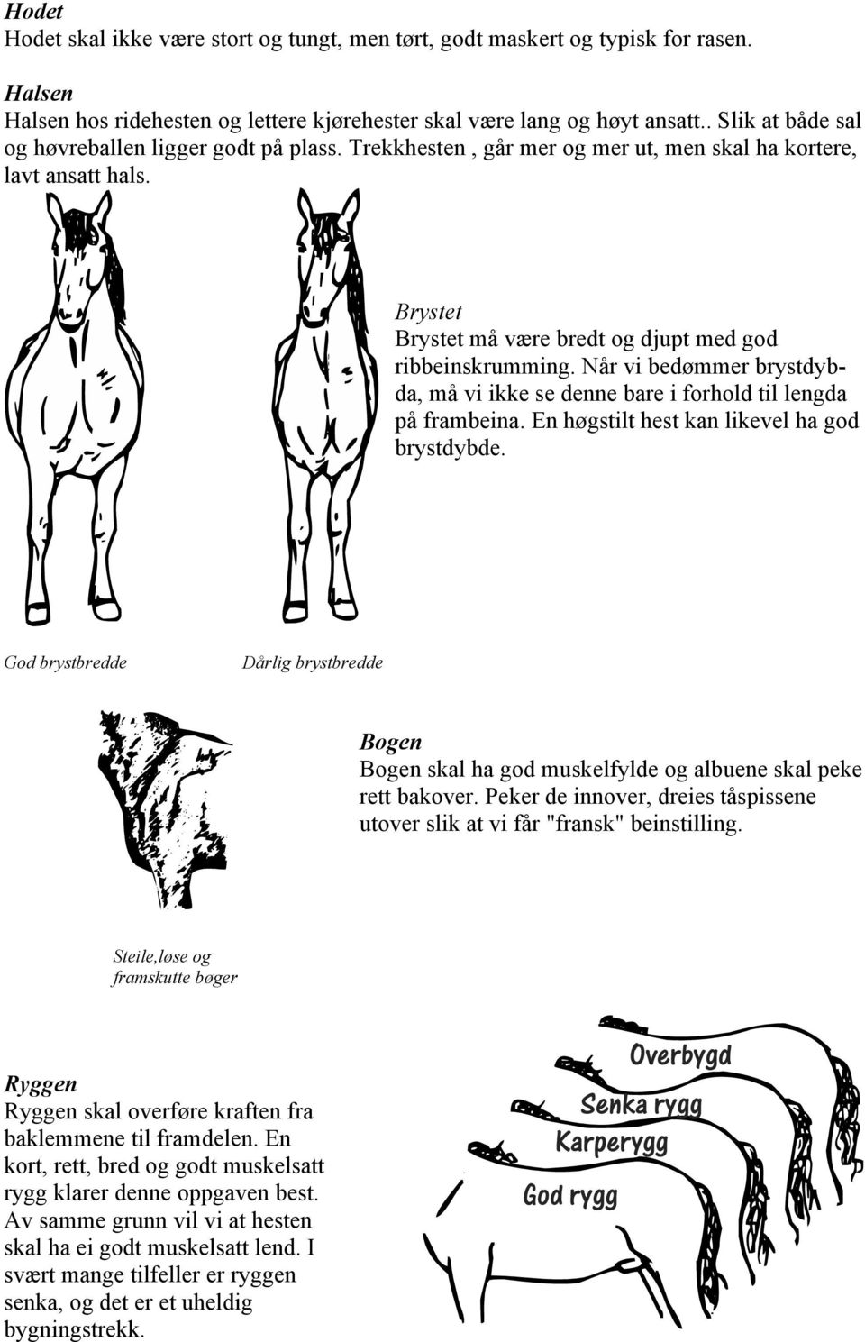 Når vi bedømmer brystdybda, må vi ikke se denne bare i forhold til lengda på frambeina. En høgstilt hest kan likevel ha god brystdybde.