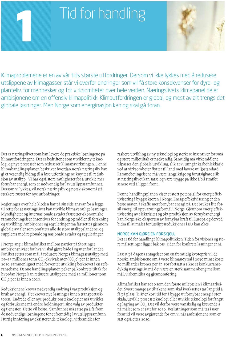 Næringslivets klimapanel deler ambisjonene om en offensiv klimapolitikk. Klimautfordringen er global, og mest av alt trengs det globale løsninger. Men Norge som energinasjon kan og skal gå foran.