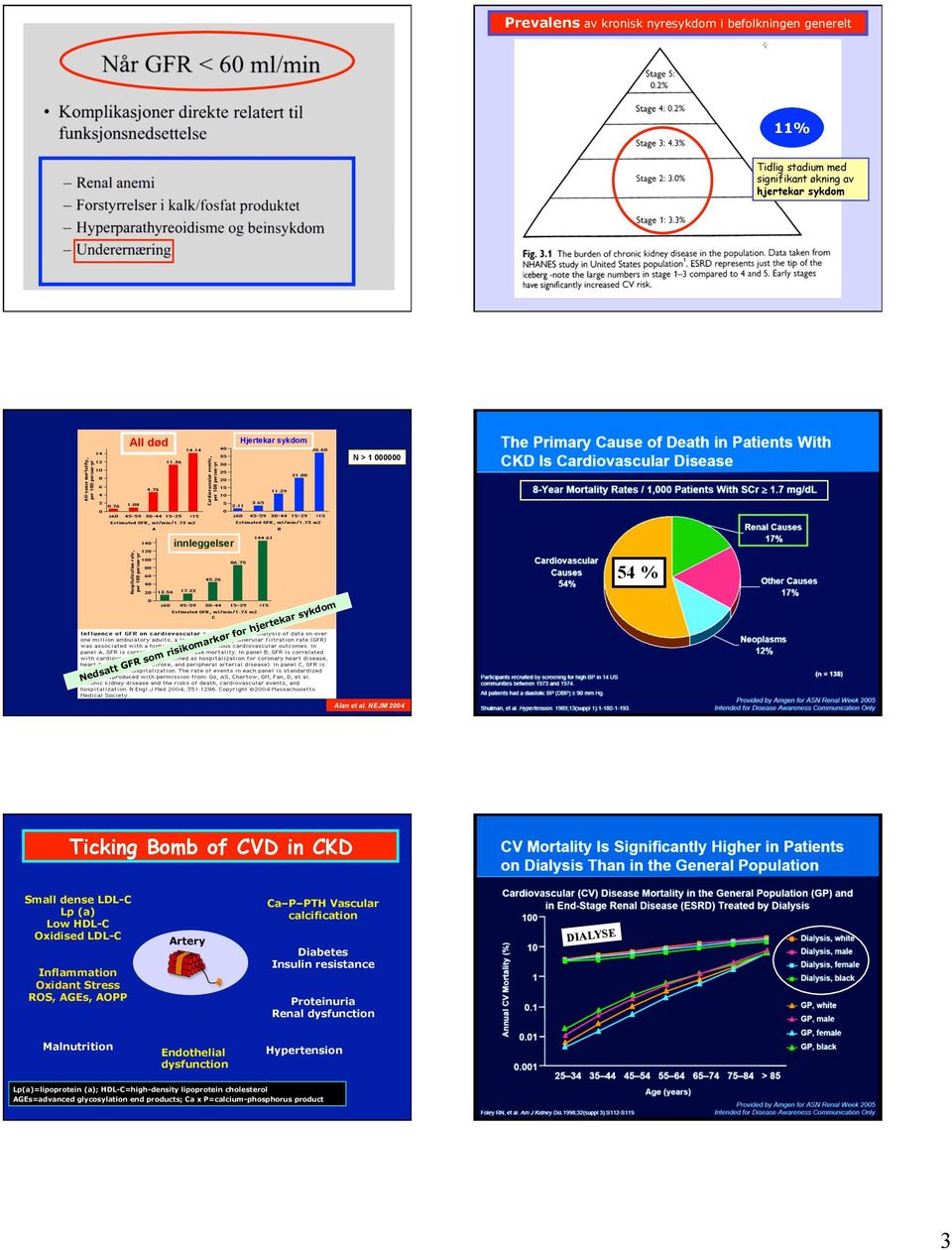 NEJM 2004 Ticking Bomb of CVD in CKD Small dense LDL-C Lp (a) Low HDL-C Oxidised LDL-C Inflammation Oxidant Stress ROS, AGEs, AOPP Artery Ca P PTH Vascular