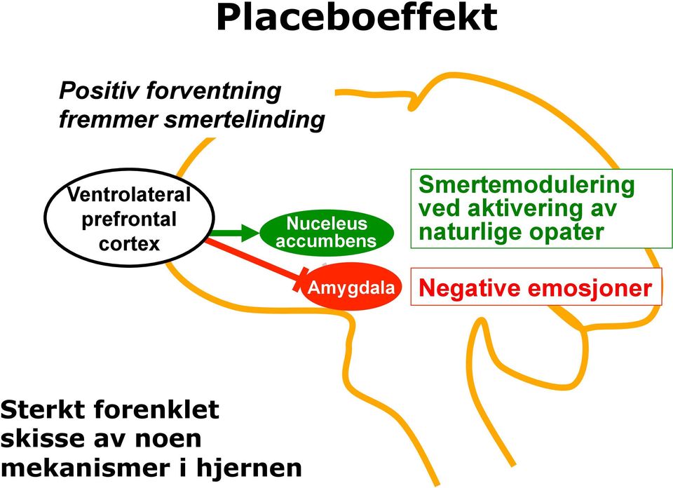 Smertemodulering ved aktivering av naturlige opater