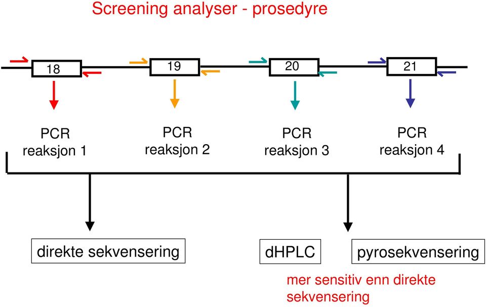 PCR reaksjon 4 direkte sekvensering dhplc