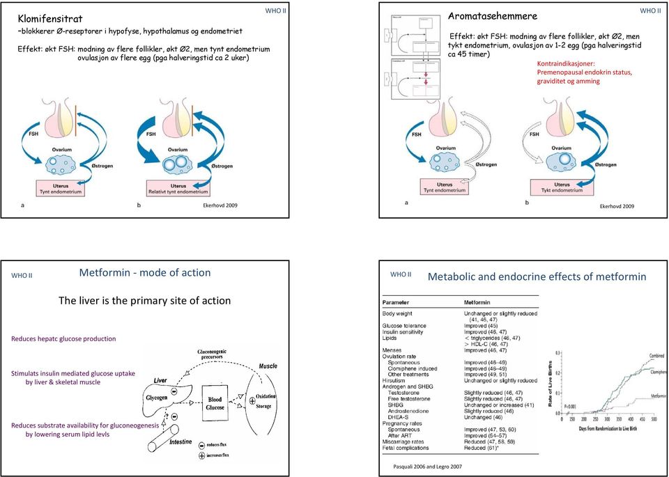 Premenopausal endokrin status, graviditet og amming Ekerhovd 2009 Ekerhovd 2009 Metformin mode of action Metabolic and endocrine effects of metformin The liver is the primary site of action