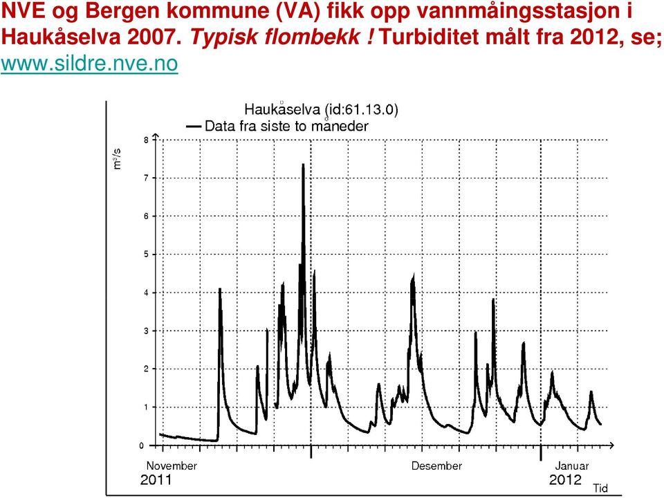 2007. Typisk flombekk!