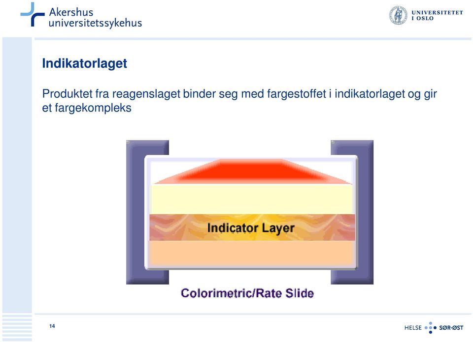 fargestoffet i