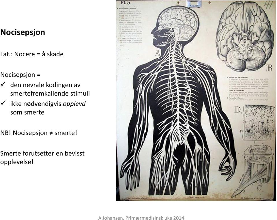 kodingen av smertefremkallende stimuli ikke