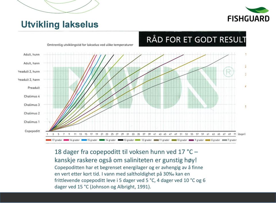 Copepoditten har et begrenset energilager og er avhengig av å finne en vert etter kort tid.