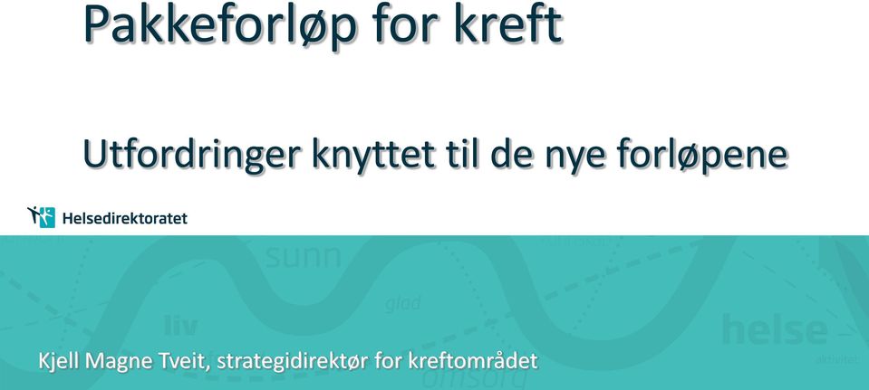 nye forløpene Kjell Magne