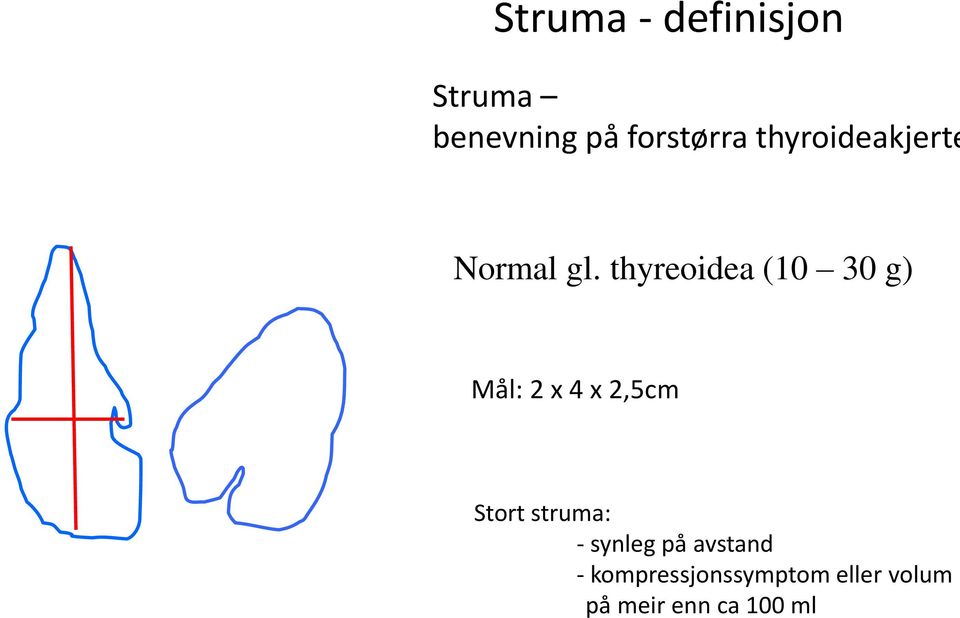 thyreoidea (10 30 g) Mål: 2 x 4 x 2,5cm Stort