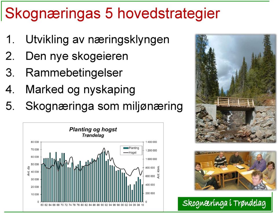 Den nye skogeieren 3.