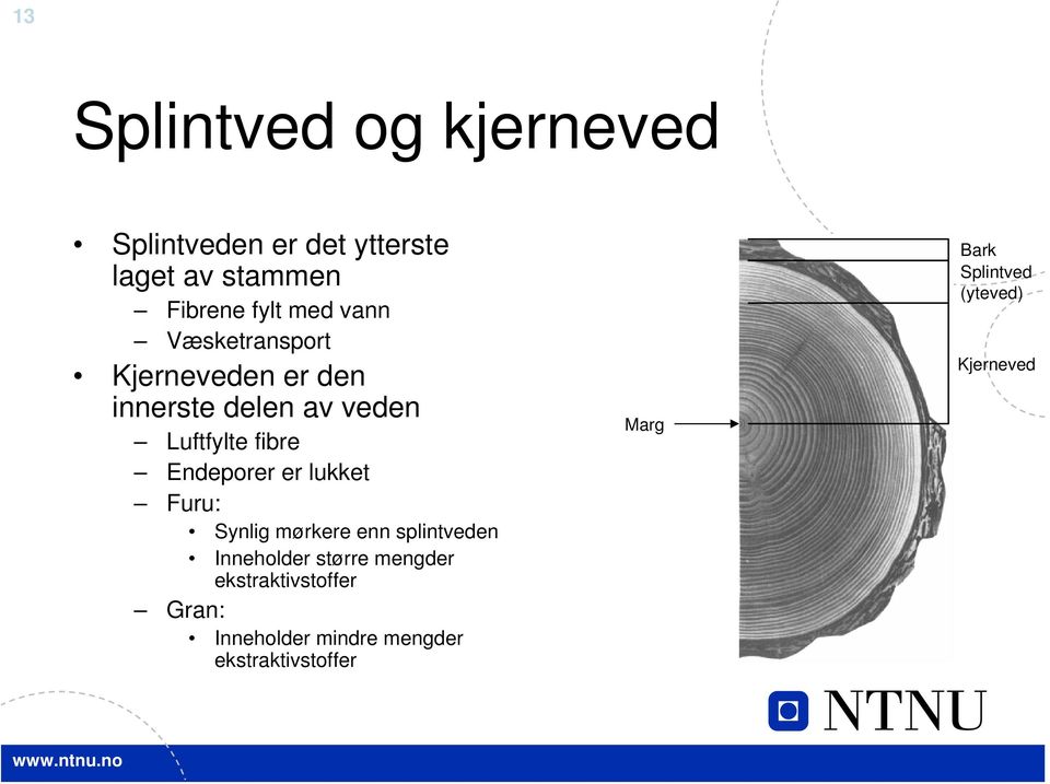 er lukket Furu: Synlig mørkere enn splintveden Inneholder større mengder