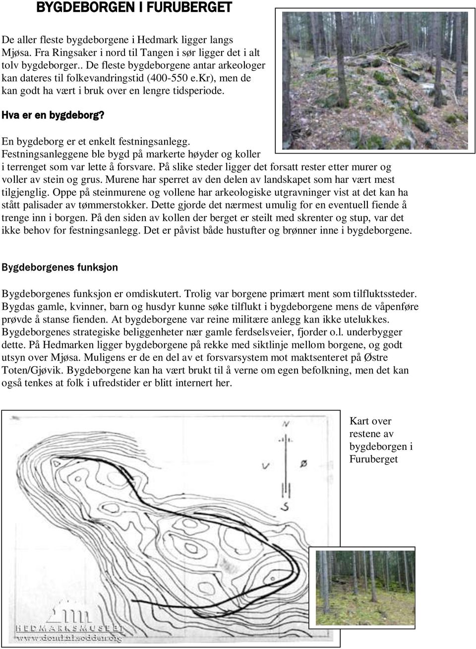 En bygdeborg er et enkelt festningsanlegg. Festningsanleggene ble bygd på markerte høyder og koller i terrenget som var lette å forsvare.