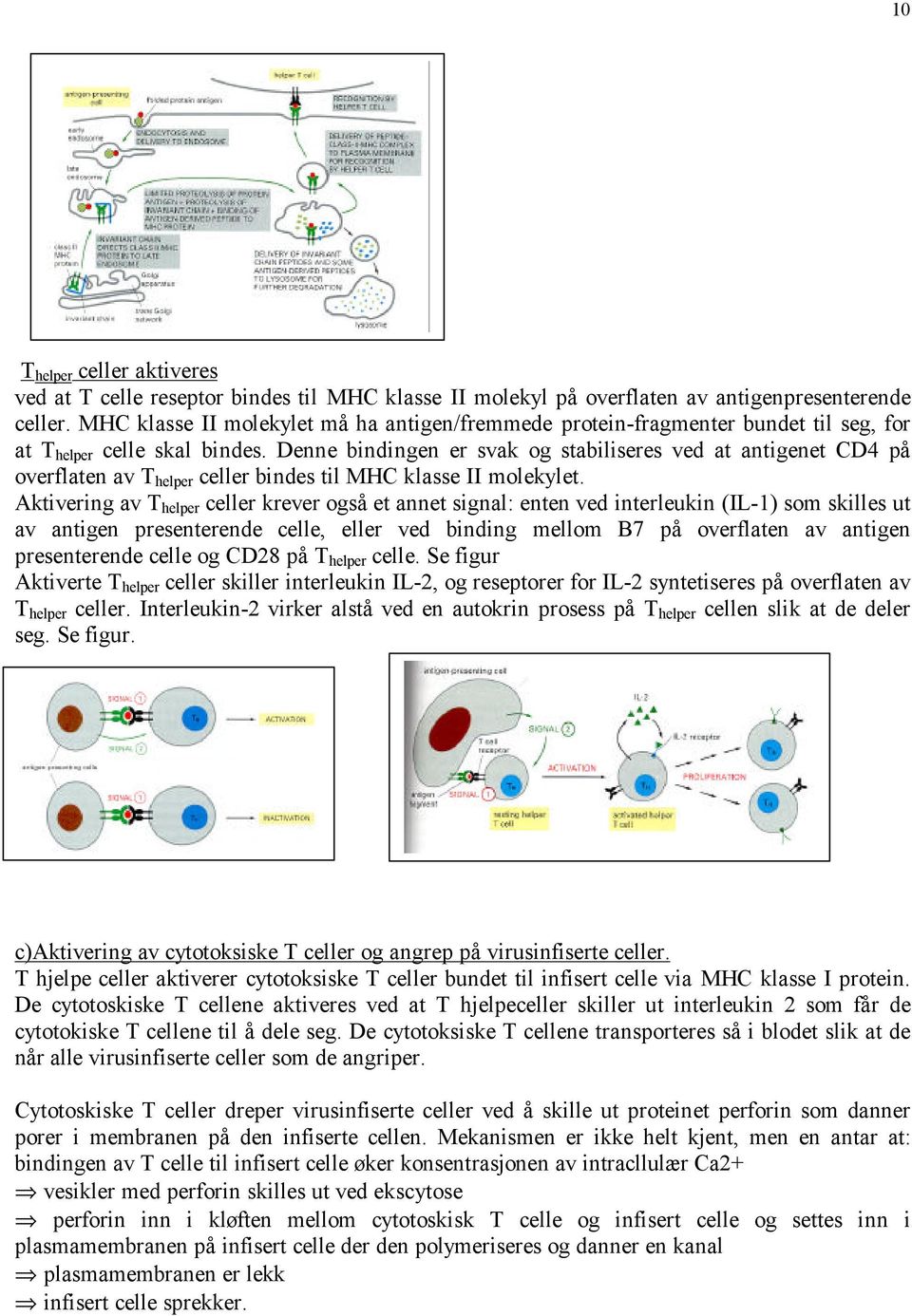 Denne bindingen er svak og stabiliseres ved at antigenet CD4 på overflaten av T helper celler bindes til MHC klasse II molekylet.