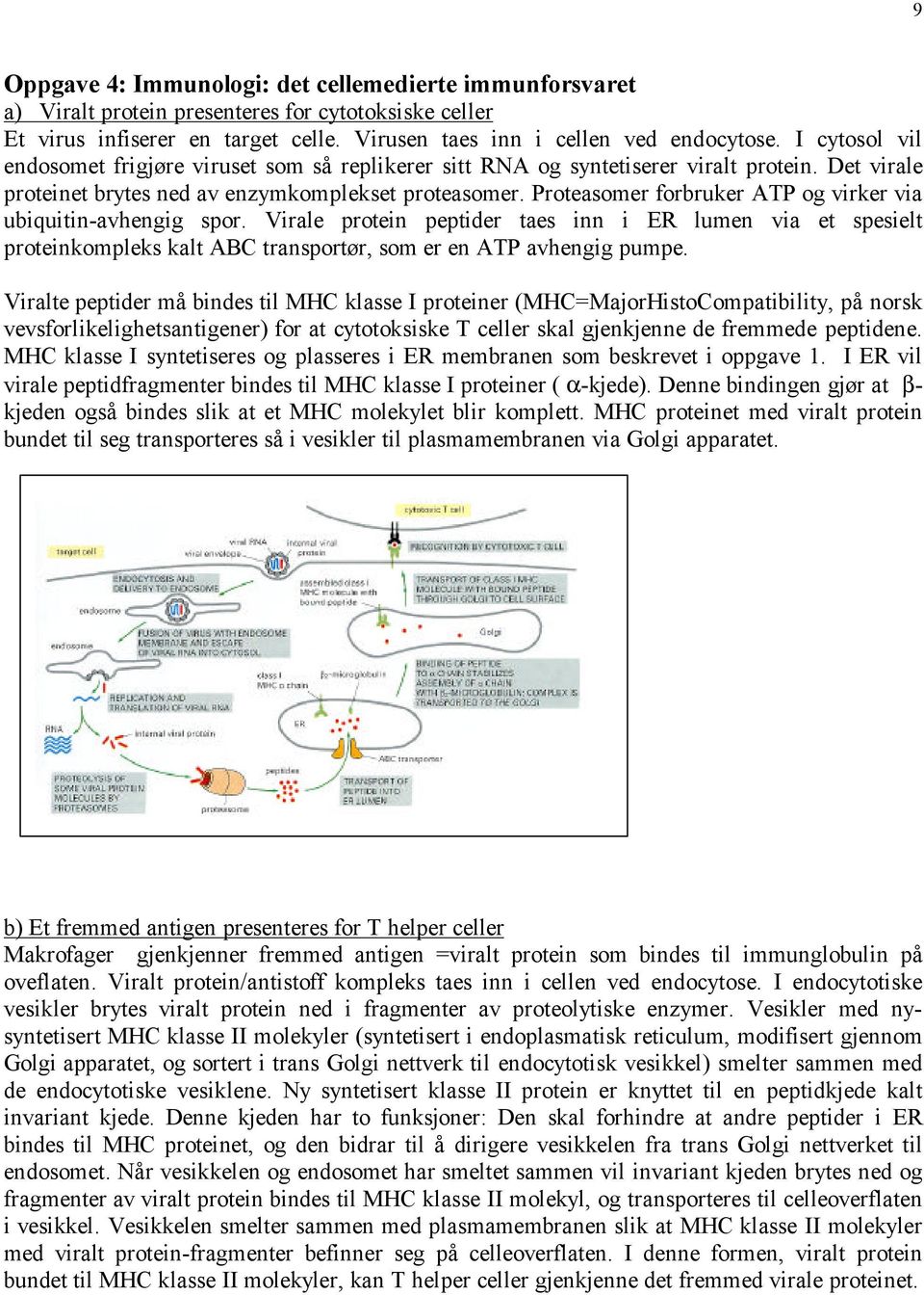 Proteasomer forbruker ATP og virker via ubiquitin-avhengig spor. Virale protein peptider taes inn i ER lumen via et spesielt proteinkompleks kalt ABC transportør, som er en ATP avhengig pumpe.