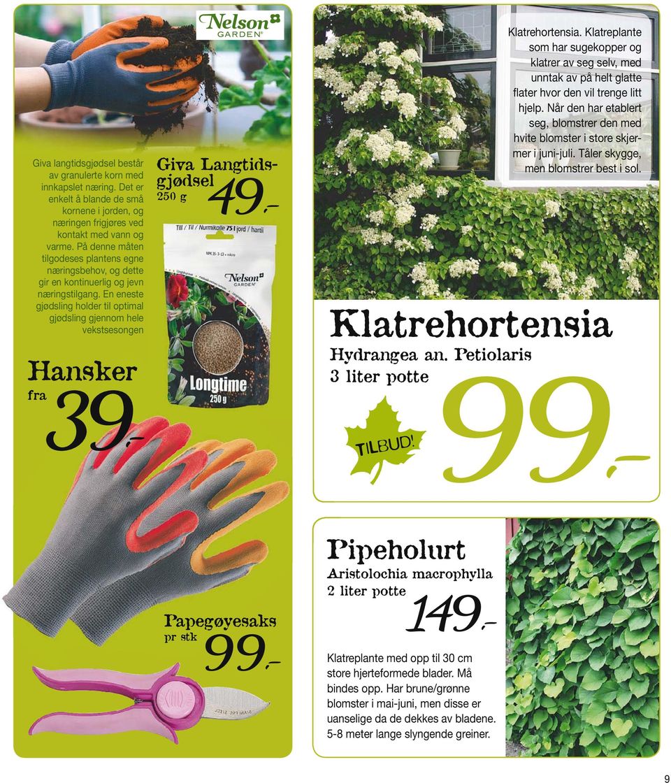 En eneste gjødsling holder til optimal gjødsling gjennom hele vekstsesongen Hansker fra 39,-,- 250 g 49 Klatrehortensia.