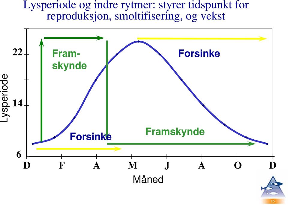 og vekst 22 Framskynde Forsinke Lysperiode