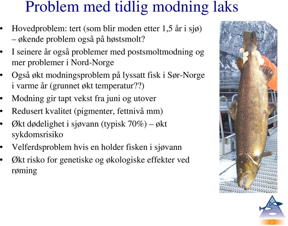 varme år (grunnet økt temperatur?