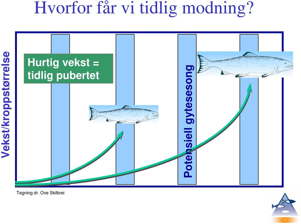 = tidlig pubertet Potensiell