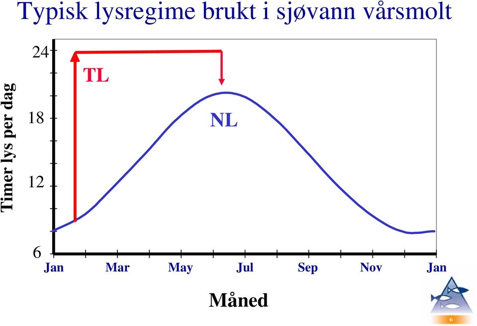 per dag 24 18 12 TL NL 6 Jan