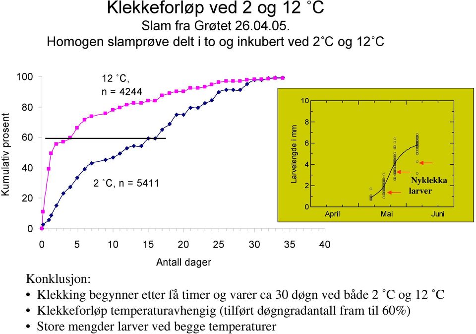 5411 0 5 10 15 20 25 30 35 40 Antall dager Konklusjon: Klekking begynner etter få timer og varer ca 30 døgn ved både