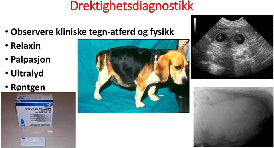 tegn-atferd og fysikk