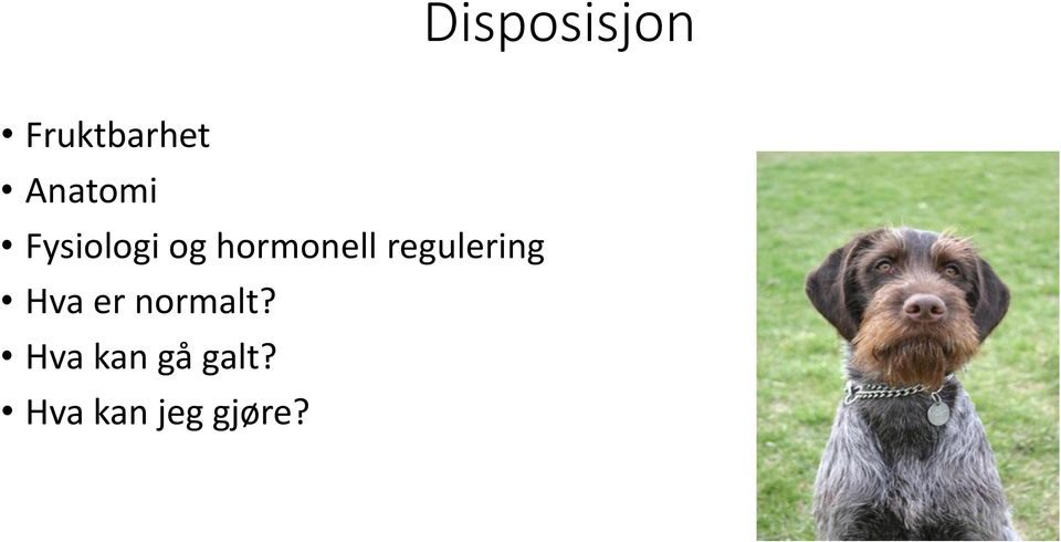 hormonell regulering Hva er